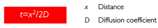 image101