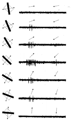 image130