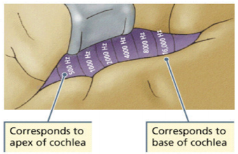 image162