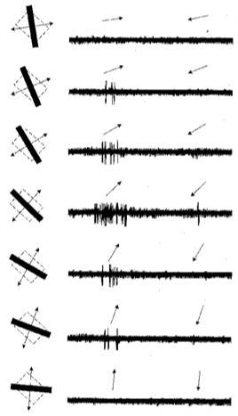 image18