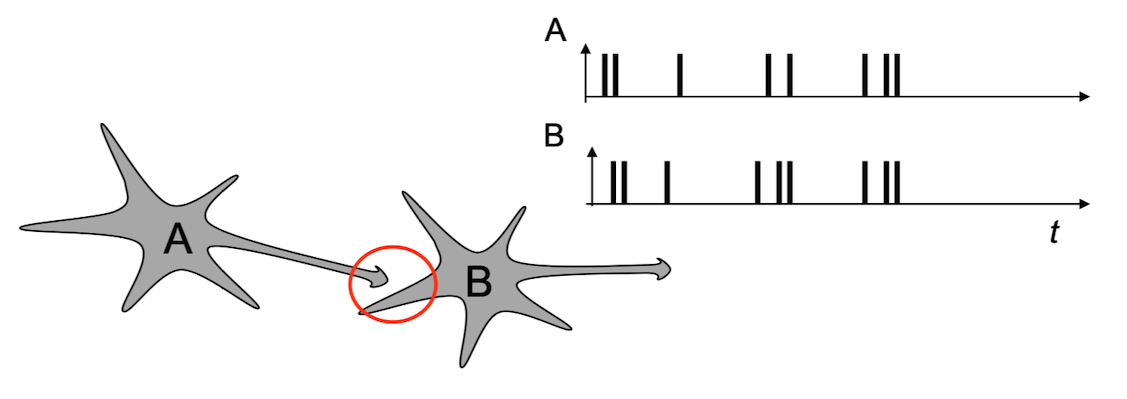 image22