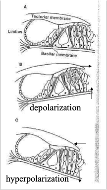 image36