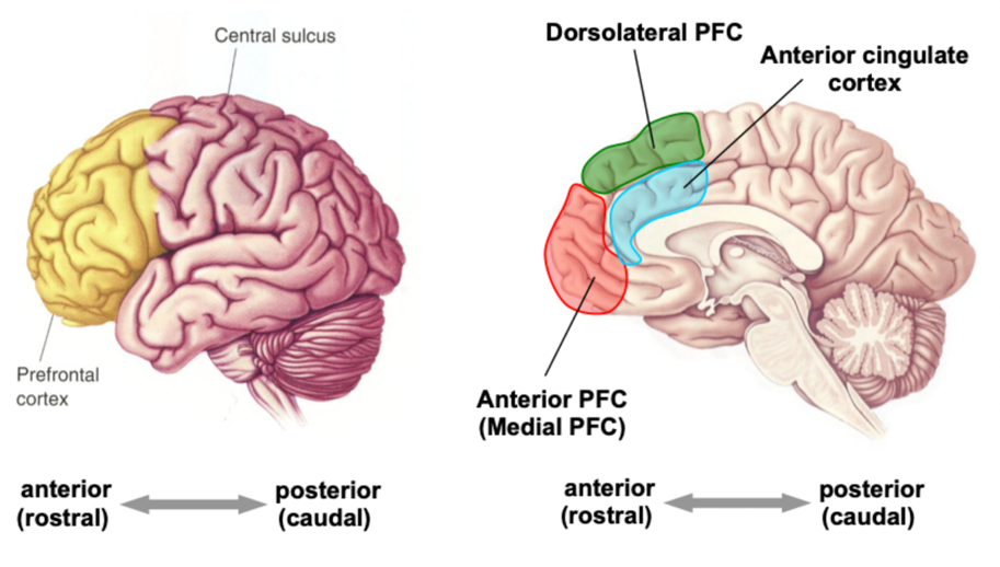 image47