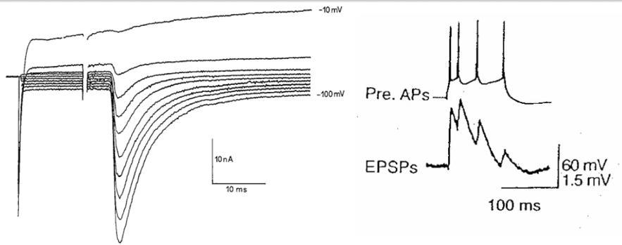 image6