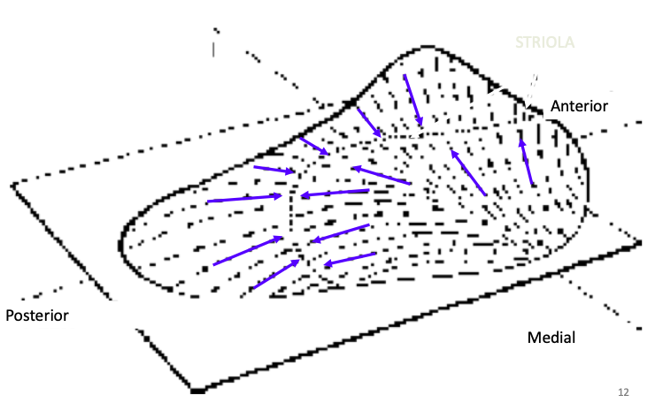 image65