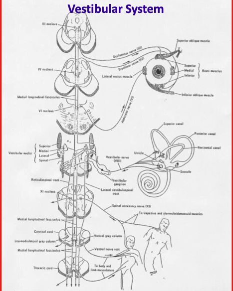 image67