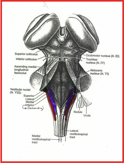 image69