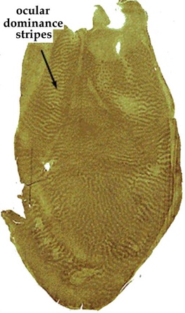 image72