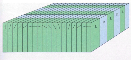 image75