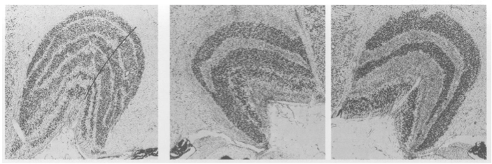image9